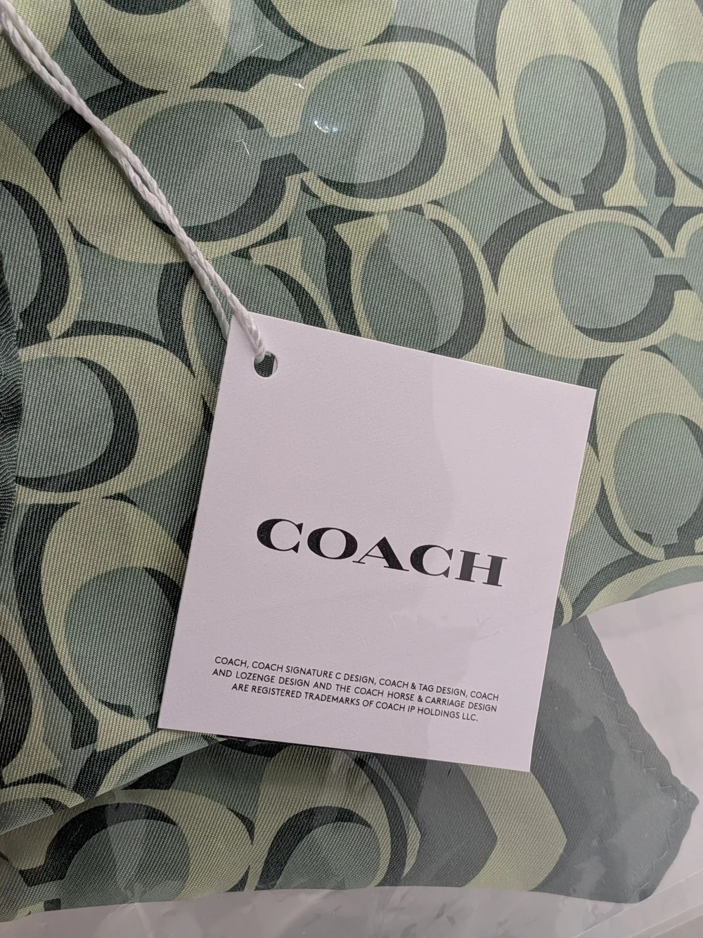 COACH Mint Green Signature Print Diamond Silk Scarf